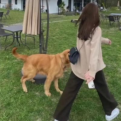 边境法规